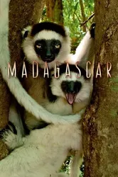 Madagascar 2011 (Madagascar 2011) [2011]