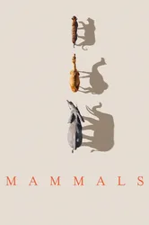 Mammals (2024) (Mammals (2024)) [2024]