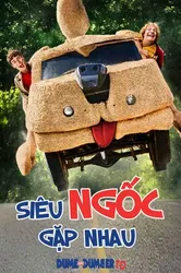 Siêu Ngốc Gặp Nhau (Siêu Ngốc Gặp Nhau) [2014]